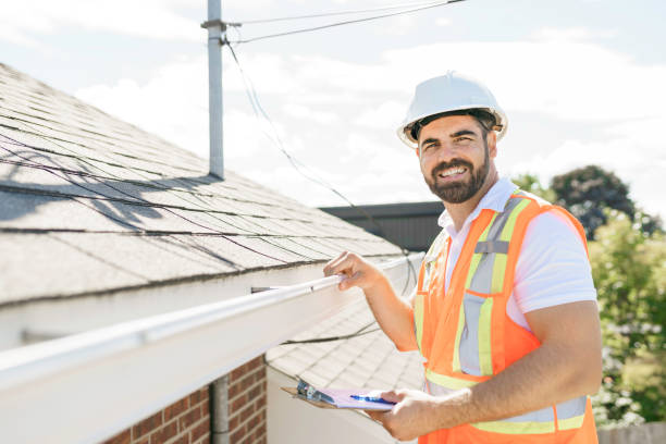Best Roof Gutter Cleaning  in Lake Ridge, VA