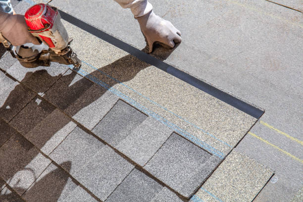 Best Roof Inspection Near Me  in Lake Ridge, VA
